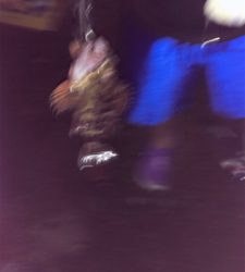 水族館で見たやつやんw