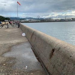 投げ釣りでキス