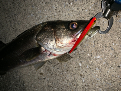 バチ抜けやっときたー！！！