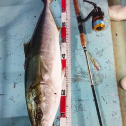 ジギング、初ブリ!