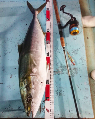 ジギング、初ブリ!