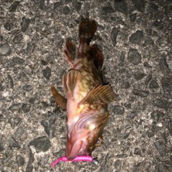 時間を忘れるくらい楽しかった