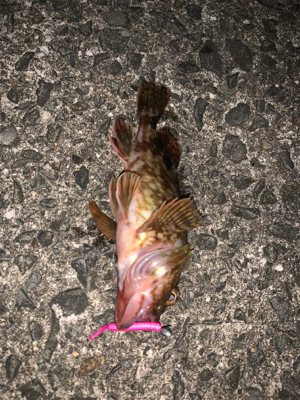 時間を忘れるくらい楽しかった