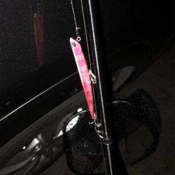 バチ抜け?シーバス