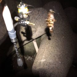 なぜかガッシー