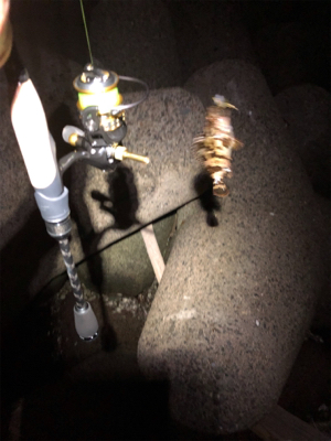 なぜかガッシー