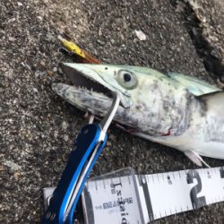 仕事帰りにチョコっと