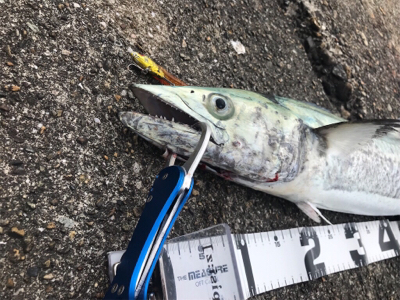 仕事帰りにチョコっと