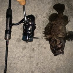 寝不足の日々(-_-)zzz