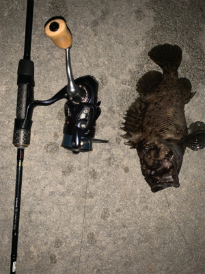 寝不足の日々(-_-)zzz