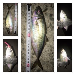 ライトゲーム満喫♩