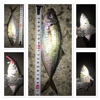 ライトゲーム満喫♩