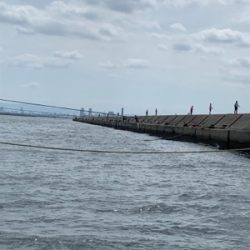 二週連続ムコイチ