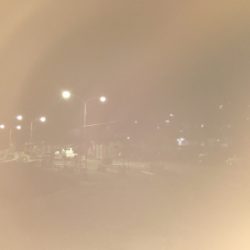 コウイカのつもりが！