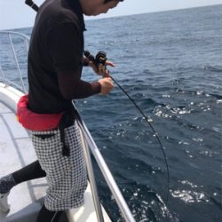 尾鷲 ゴールデンイーグル アンダーベイト