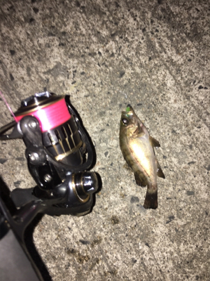 ナイトメバリング