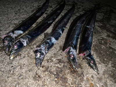 令和初の太刀！