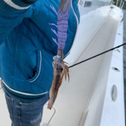 オフショアエギ！