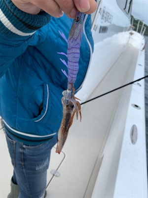 オフショアエギ！