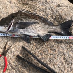 散々からの最高!