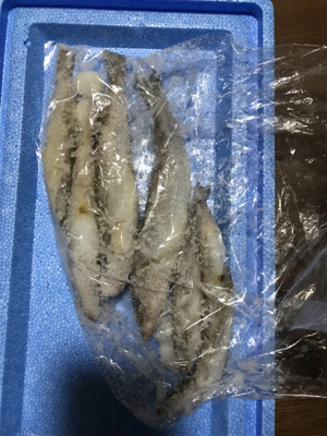 初めてのキス釣り