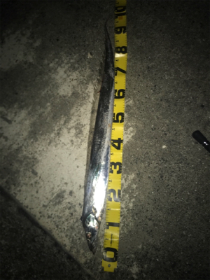 タチウオ来てます！