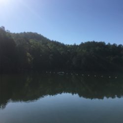 嵐山フィッシングエリア