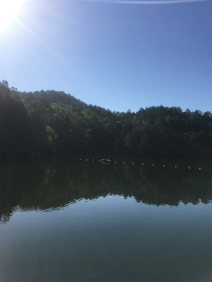 嵐山フィッシングエリア