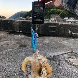 令和初！キロアップ！