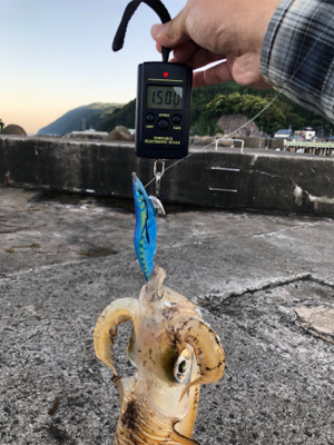 令和初！キロアップ！