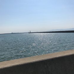 濁りがキツかった…