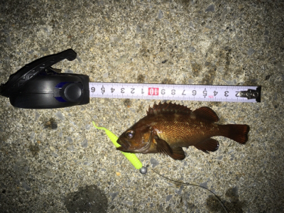 本日2回目の場所