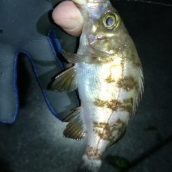 ナイトメバリング