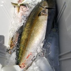 初の釣り堀サザンへ