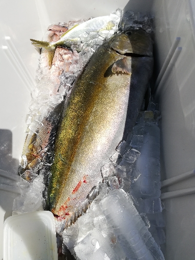 初の釣り堀サザンへ