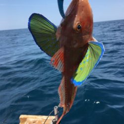 丹後マイボート釣行