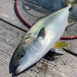 釣堀水宝さんにて