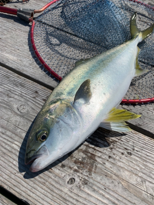 釣堀水宝さんにて