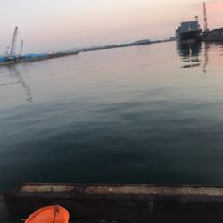 キス調査空振り