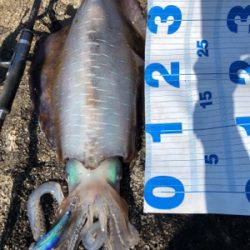 自己記録更新！2kgオーバーGET