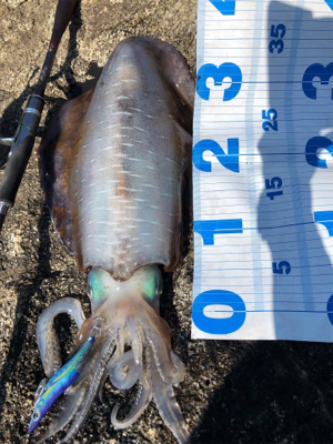 自己記録更新！2kgオーバーGET