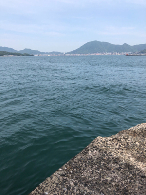 この時期、ありきたりですが