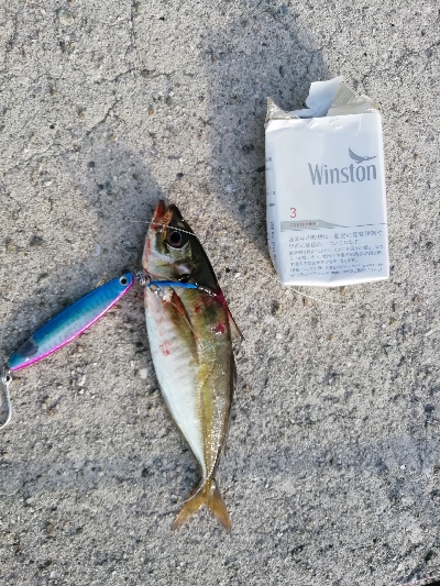 海がばっちい(´・д・｀)