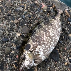 巨グレを求めて!