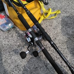 安定のガシラその2