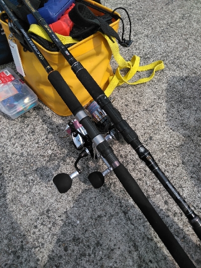 安定のガシラその2