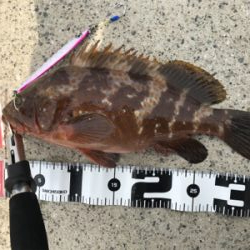 嗚呼、ポーアイ沖堤防