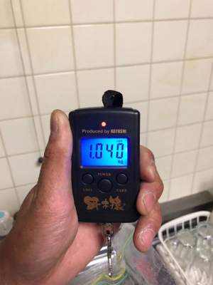 エギングサミット残業