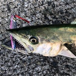 時合い終了後の一本^_^♪