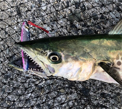 時合い終了後の一本^_^♪